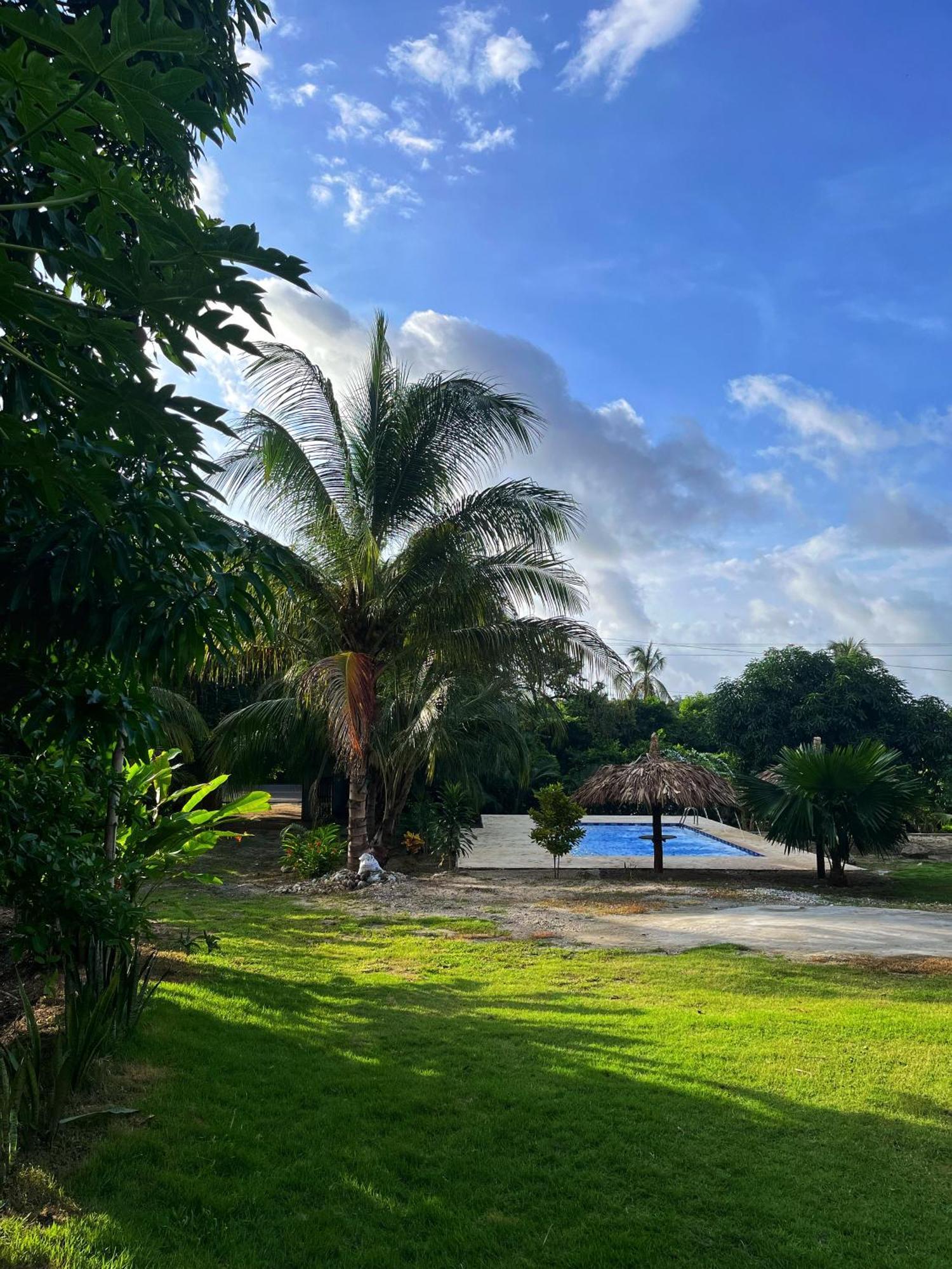 Lodge Tayrona Eco-finca Zelandia Y Santa Marta (Magdalena)
