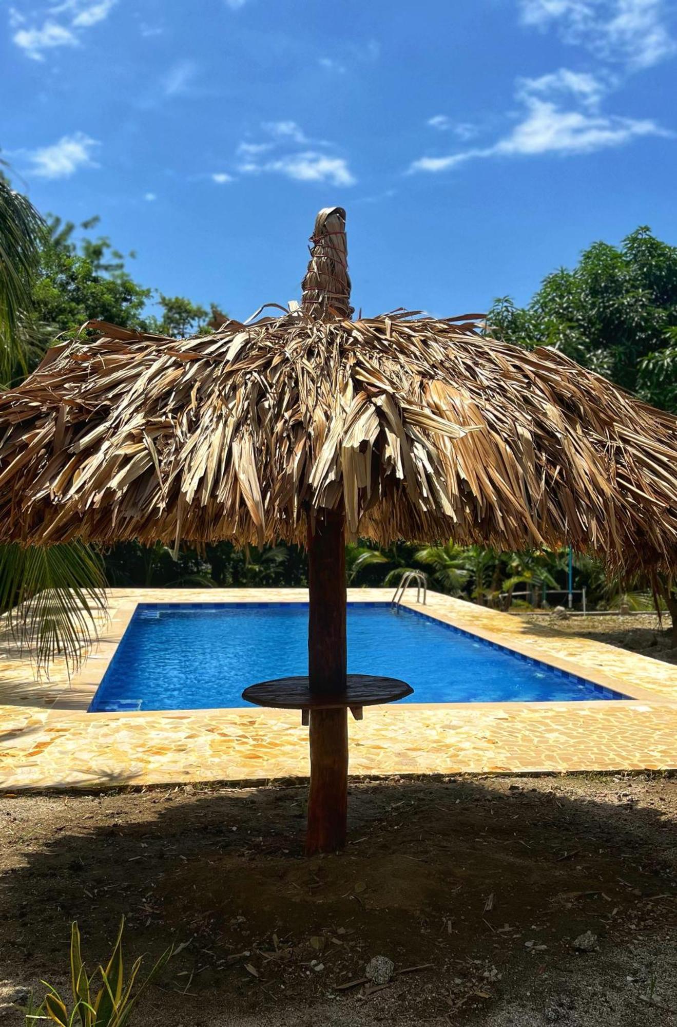 Tayrona Eco-finca Zelandia Y *