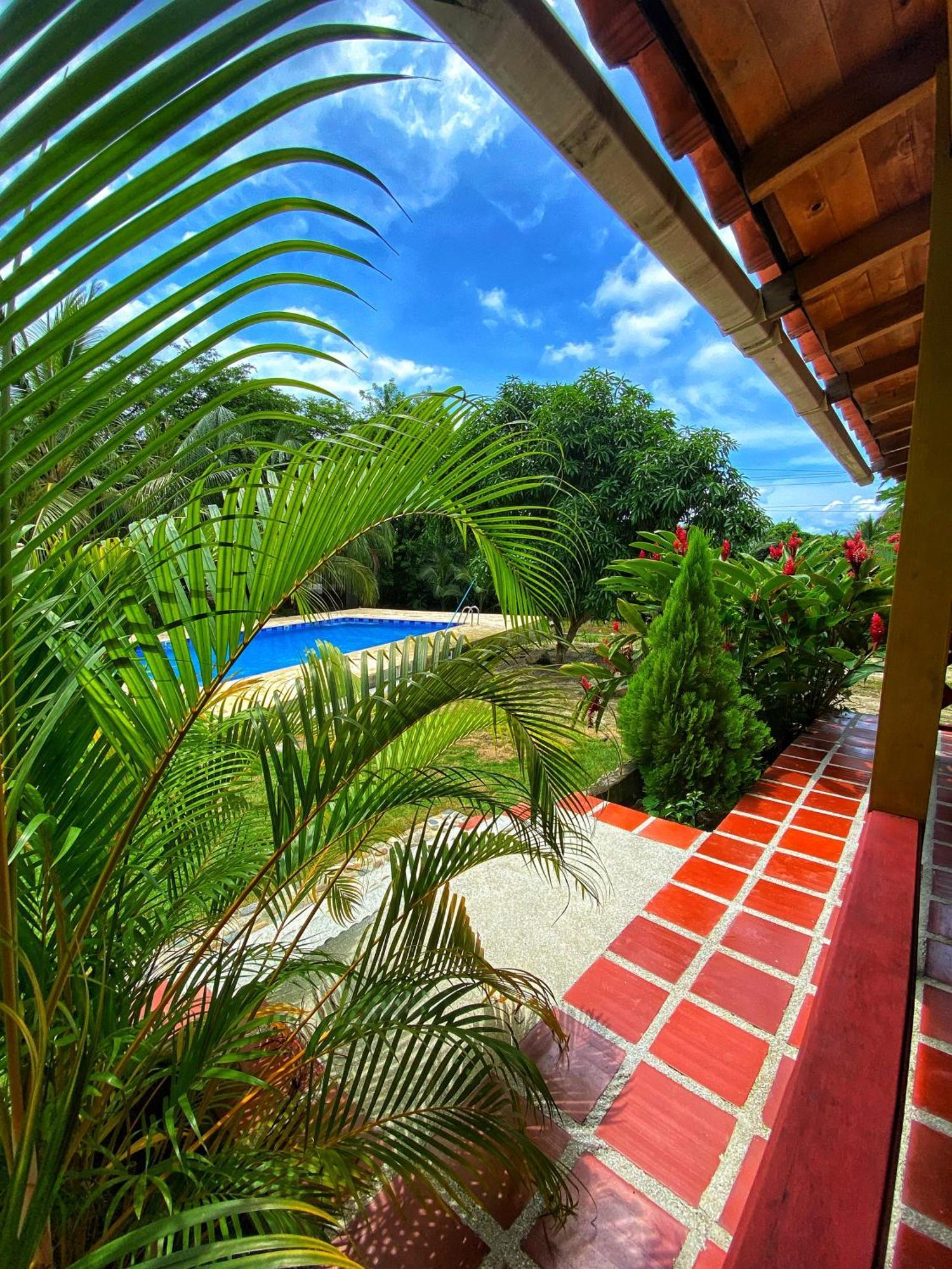 Tayrona Eco-finca Zelandia Y *