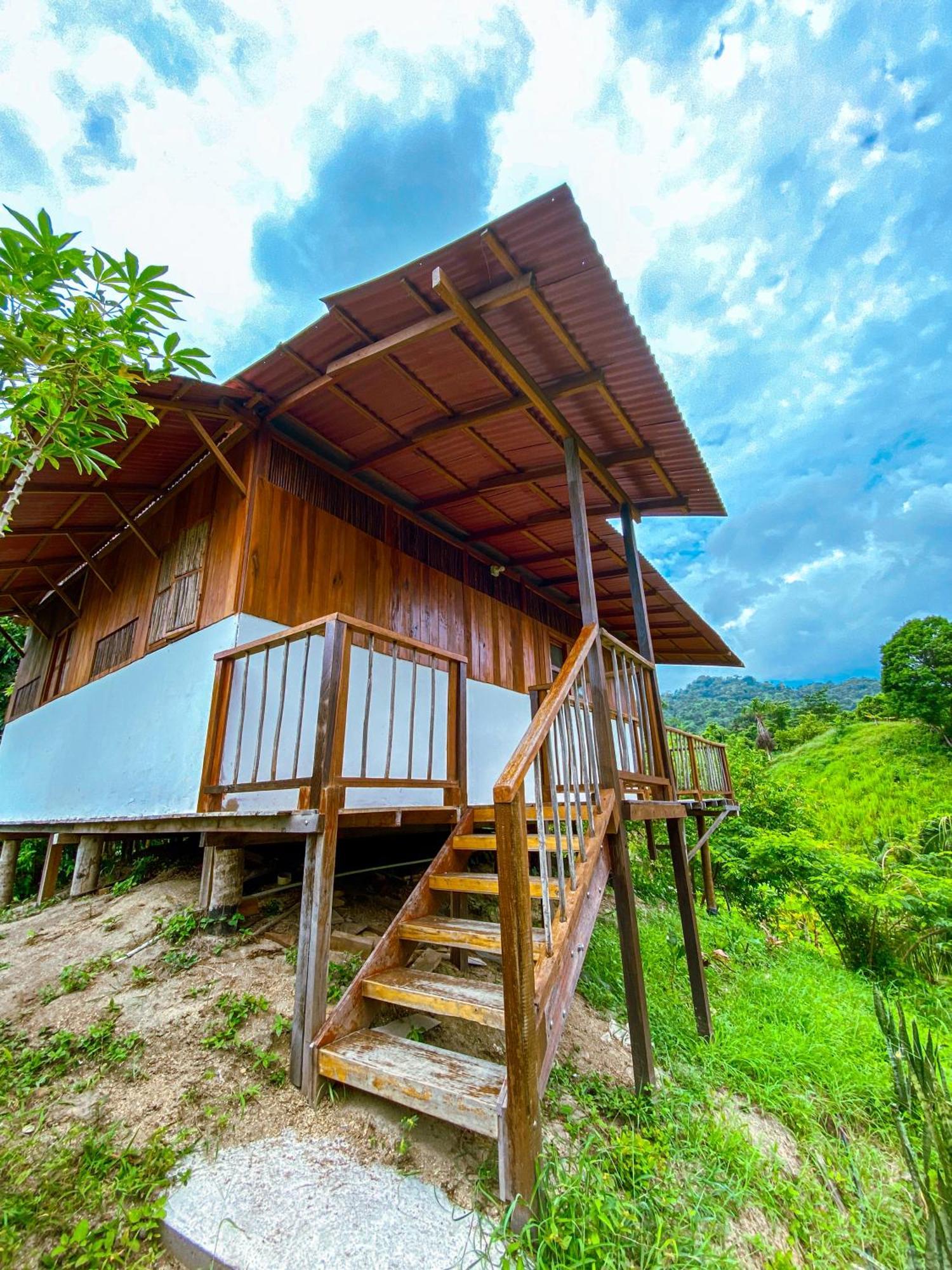 Lodge Tayrona Eco-finca Zelandia Y Santa Marta (Magdalena)